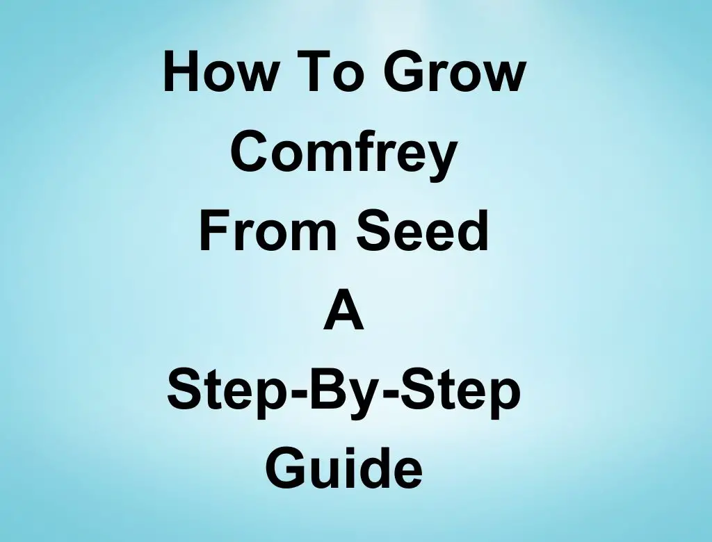 How To Grow Comfrey From Seed A Step By Step Guide