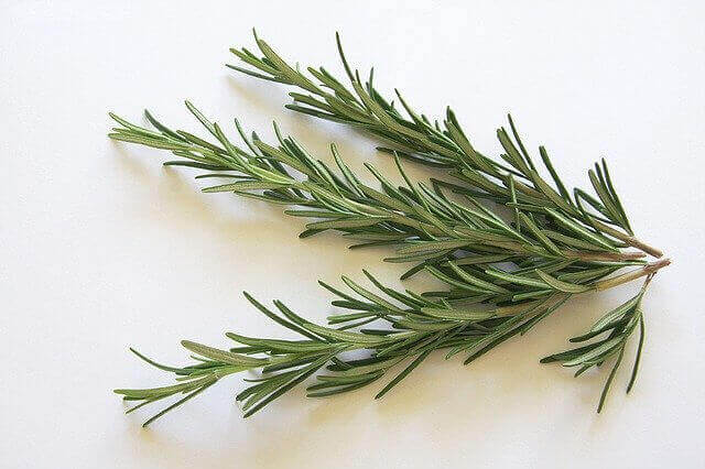 Rosemary