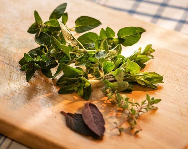 culinary herbs marjoram, sage and thyme