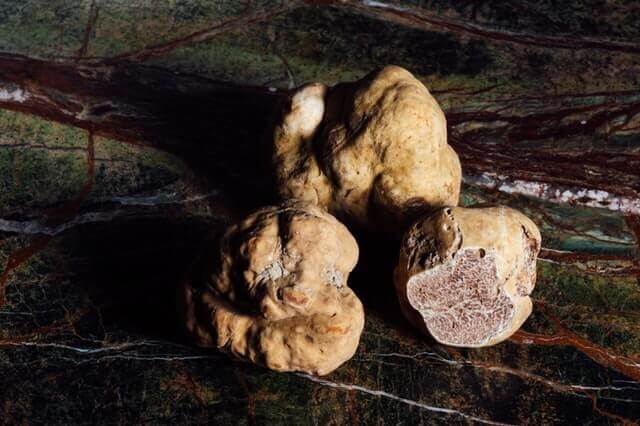 Three Alba white truffles on a table.