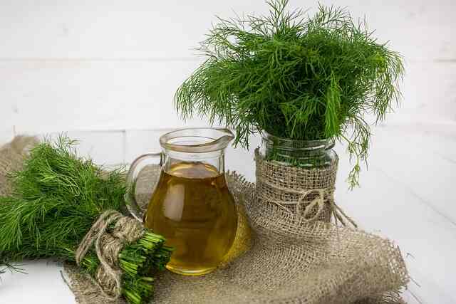 Two bundles of dill, one tied and one in a jar, and a jug of olive oil on a table.