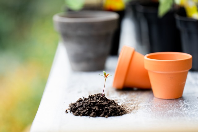 Small plant pots on a table with some soil.