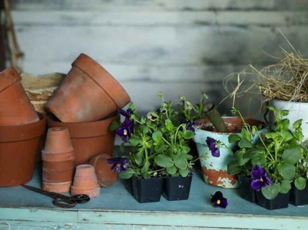 A bunch of plant pots and planters on a table.