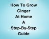 How to Grow Ginger at Home