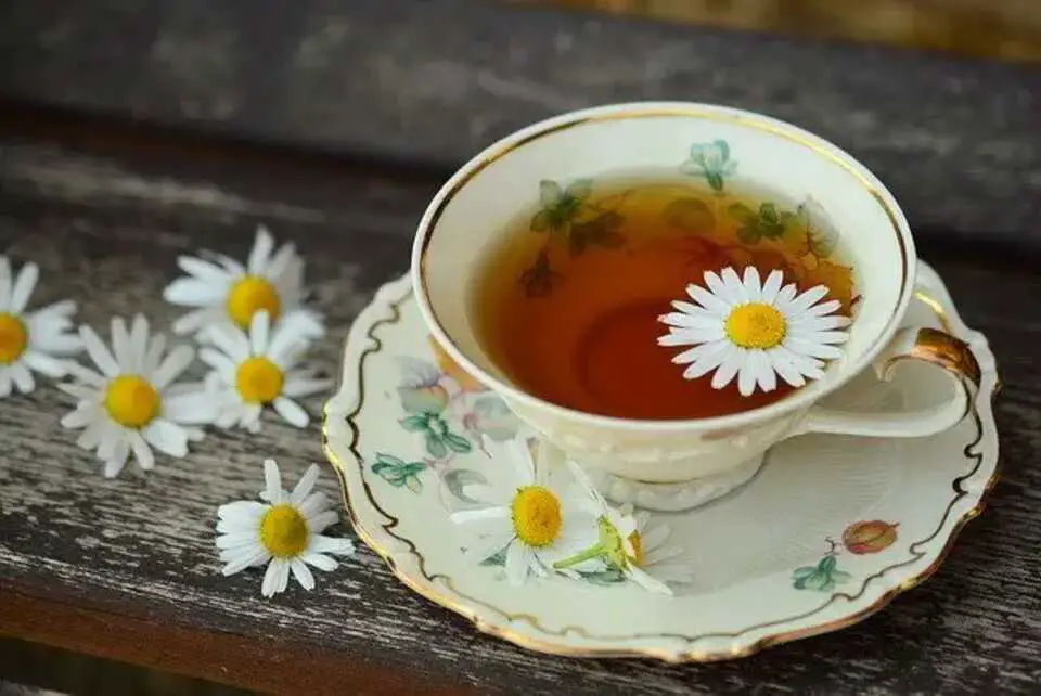 A freshly brewed cup of chamomile tea on a table.