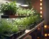 Best indoor herb garden with grow light.