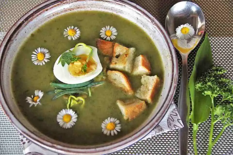 A freshly made vernal soup, garnished with tender Lovage leaves, served in a rustic bowl, with vibrant green colors and a warm, inviting appearance.